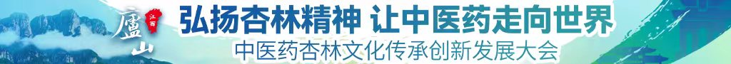 日本女同性恋网站中医药杏林文化传承创新发展大会